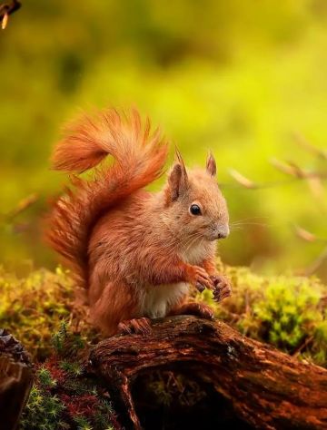 الخميس .. طقس خريفي معتدل الخميس .. طقس خريفي معتدل