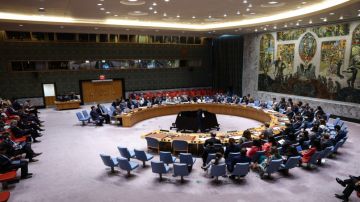 رئيس مجلس الأمن: أكبر خيبة أمل واجهت الأمم المتحدة عدم حل قضية فلسطين رئيس مجلس الأمن: أكبر خيبة أمل واجهت الأمم المتحدة عدم حل قضية فلسطين