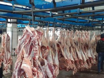 إتلاف لحوم فاسدة وإنذار 11 ملحمة ضمن حملة صحية مشددة في اربد