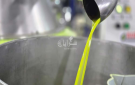 تنكة الزيت تقفز إلى 140 دينارا .. مزارعو عجلون يواجهون الموسم الأضعف منذ 40 عاما - فيديو - jo
