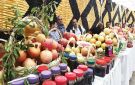 إربد: تمديد دوام مهرجان الرمان بعد إقبال جماهيري ومبيعات قياسية - jo