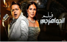 رغم انتهاء تصويرها منذ أشهر .. تأجيل عرض 5 أفلام مصرية