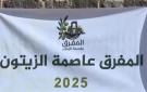 المفرق.. عاصمة الزيتون الأردني وذاكرة الأرض الخصبة - jo