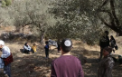 مستوطنون يحرمون الفلسطينيين شمال رام الله من قطف الزيتون - jo