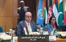 البدور: الأردن تحمل أعباء اللجوء واستقبل مرضى غزة - jo