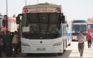 القطامين: منع الحافلات الأردنية يضر بالنقل وحجاج السعودية - jo