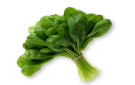 لهذه الأسباب يجب تناول السبانخ يوميا