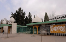 مشاجرة كبيرة في الجامعة الأردنية - jo