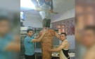 مطالبات أردنية بخفض اسعار بيع الشاورما فورا - jo