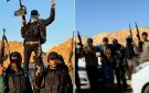 تلغراف تكشف مصير ميليشيا أبو شباب في غزة - jo