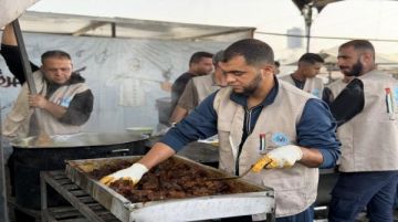 الحملة الأردنية الإغاثية توزع وجبات أرز ولحم على النازحين جنوب غزة