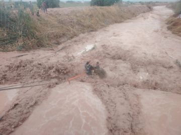 إنقاذ 3 أشخاص علقوا في مجرى سيل بمحافظة الطفيلة