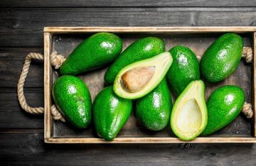 دراسة: تناول الأفوكادو مساء يقلل الدهون الثلاثية ويحسن صحة القلب لدى مرضى مقدمات السكري