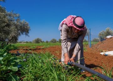 وادي الأردن .. مزارعون يستقبلون موسمهم الجديد بخسائر فادحة وتحديات متفاقمة
