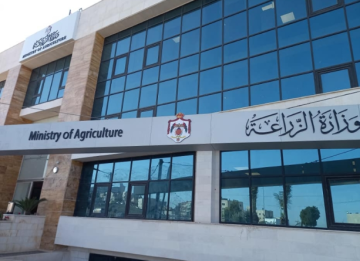 الزراعة تحدد شروط استيراد زيت الزيتون لضمان الجودة والسلامة