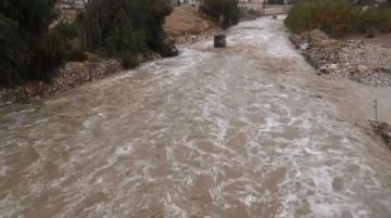 الدفاع المدني ينقذ ثلاثة أشخاص علقوا بمجرى سيل في الطفيلة الدفاع المدني ينقذ ثلاثة أشخاص علقوا بمجرى سيل في الطفيلة