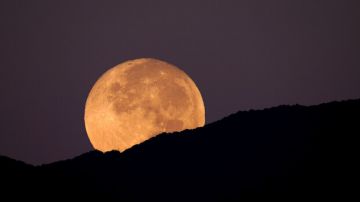 الدكتور علي الطعاني البروفيسور في علم الفلك يتحدث عبر رم عن ظاهرة القمر العملاق غدا - فيديو الدكتور علي الطعاني البروفيسور في علم الفلك يتحدث عبر رم عن ظاهرة القمر العملاق غدا - فيديو