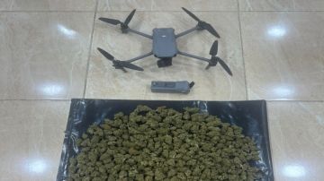 الجيش يحبط تهريب مخدرات بواسطة مسيرة في المنطقة العسكرية الجنوبية