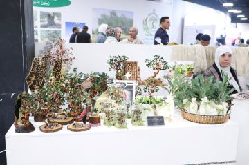 بالصور .. سرايا ترصد اليوم الأول لمهرجان الزيتون الـ 25 بالصور .. سرايا ترصد اليوم الأول لمهرجان الزيتون الـ 25