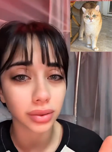 بحالة انهيار بدي سكر ضروري .. سالي العوضي تناشد عبر السوشيال ميديا للبحث عن قطها المفقود .. فيديو