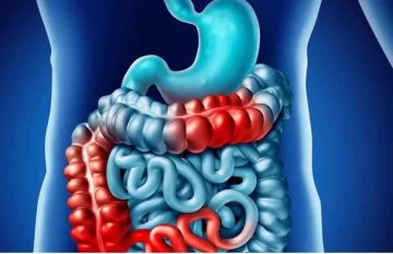 دون تنظير.. كبسولات تكشف أمراض الأمعاء في دقائق دون تنظير.. كبسولات تكشف أمراض الأمعاء في دقائق