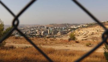 قرار بوقف رخص الإعمار أو التغيير على أراضي مصنع الإسمنت بالفحيص