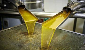 نقيب أصحاب المعاصر : استيراد زيت الزيتون لن يغرق السوق وتنكة المستورد بين 80 90 دينارا