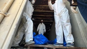 الاحتلال يسلم جثثا متحللة لأسرى فلسطينيين الاحتلال يسلم جثثا متحللة لأسرى فلسطينيين