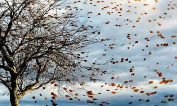 الجمعة .. أجواء حارة نسبيا وجافة