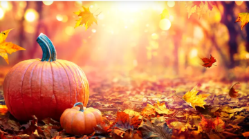 اليقطين .. قوة صحية خفية تتجاوز مواسم رأس السنة