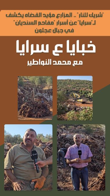 شريك للنار .. المزارع مؤيد القضاه يكشف لـ سرايا عن أسرار مفاحم السنديان في جبال عجلون .. فيديو شريك للنار .. المزارع مؤيد القضاه يكشف لـ سرايا عن أسرار مفاحم السنديان في جبال عجلون .. فيديو