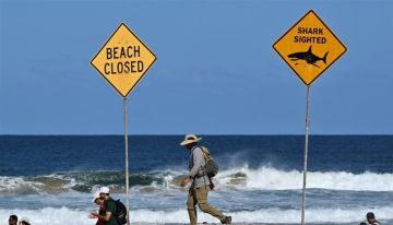 قرش الثور يهاجم امرأة حتى الموت في شاطئ أسترالي قرش الثور يهاجم امرأة حتى الموت في شاطئ أسترالي