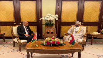 وزير الخارجية يلتقي نظيره العماني في مسقط وزير الخارجية يلتقي نظيره العماني في مسقط