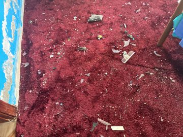 صاعقة رعدية تلحق أضرارا مادية في منزل بإربد (صور)