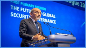 الصفدي يشدد على ضرورة عدم السماح بتجزئة غزة