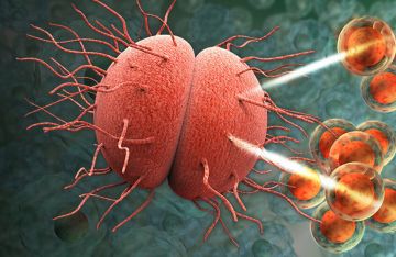 خبير يحذر من انتشار البكتيريا الخارقة خبير يحذر من انتشار البكتيريا الخارقة