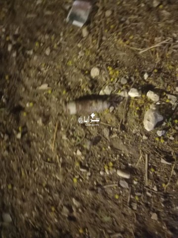 الأجهزة المختصة تتعامل مع جسم غريب من المخلفات القديمه في منطقة الشونه الشمالية .. صورة الأجهزة المختصة تتعامل مع جسم غريب من المخلفات القديمه في منطقة الشونه الشمالية .. صورة