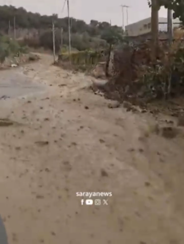 بالفيديو : سيول جراء غزارة الأمطار كفرنجة بمحافظة عجلون بالفيديو : سيول جراء غزارة الأمطار كفرنجة بمحافظة عجلون