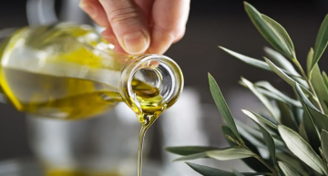 الأردن.. 2040 طلبا للمشاركة بمهرجان الزيتون الوطني