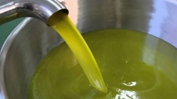 بحث التعاون الزراعي بين الأردن والولايات المتحدة وتوسيع فرص التبادل التجاري بحث التعاون الزراعي بين الأردن والولايات المتحدة وتوسيع فرص التبادل التجاري