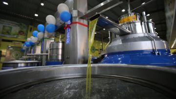 تحديد سعر تنكة الزيت بين 100 و110 دنانير للموسم الحالي تحديد سعر تنكة الزيت بين 100 و110 دنانير للموسم الحالي