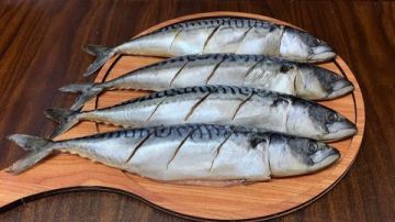 أفضل أنواع الأسماك لصحة القلب والدماغ