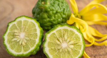 البرغموت يخفض ارتشاح الكبد الدهني