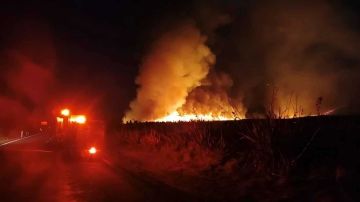 حريق ضخم بمتنزه في نيوزيلندا وفرق الإطفاء تكافح النيران