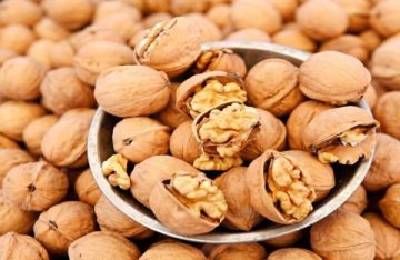 خمسة أسباب تجعل الجوز أساسيا لنمط حياة صحي