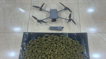 الجيش يحبط تهريب مخدرات بواسطة مسيرة في المنطقة الجنوبية