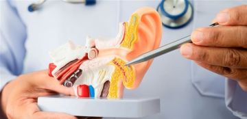 السمنة قد تزيد خطر الإصابة بطنين الأذن.. هذا ما كشفته آخر الدراسات السمنة قد تزيد خطر الإصابة بطنين الأذن.. هذا ما كشفته آخر الدراسات