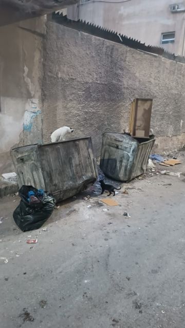 سكان حي الحسين في الزرقاء يشكون تراكم النفايات