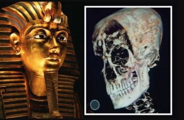 مصر.. زاهي حواس يكشف سرا جديدا عن توت عنخ آمون مصر.. زاهي حواس يكشف سرا جديدا عن توت عنخ آمون