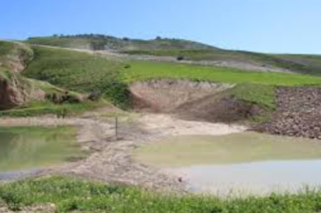 وزير الزراعة المصري: التجربة الأردنية نموذج ناجح في مواجهة شح المياه